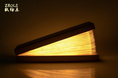 紙伯樂節(jié)慶用品訪談回顧,特殊外觀設計展現燈具別樣魅力